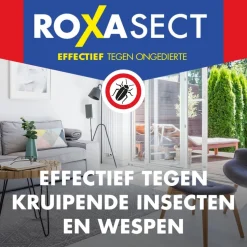 Roxasect Spuitbus tegen Kruipende Insecten en Wespen