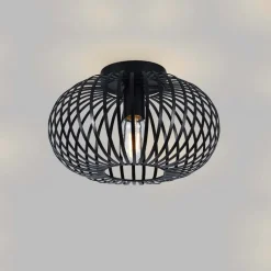 SensaHome Plafondlamp Industrieel Plafonnière van Metaal Retro Wire Kooi Design