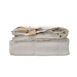 Ten Cate 100% Ganzendonzen 4-Seizoenen Dekbed