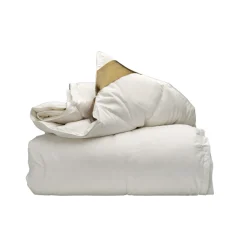 Ten Cate 100% Ganzendonzen 4-Seizoenen Dekbed