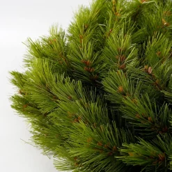 Triumph Tree Kerstkrans