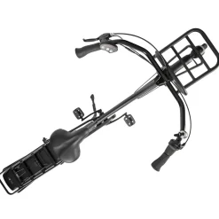 Villette Transporter dames e-bike Nexus 3