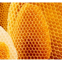 Weleda Cold Cream Gezichtscrème